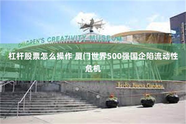 杠杆股票怎么操作 厦门世界500强国企陷流动性危机