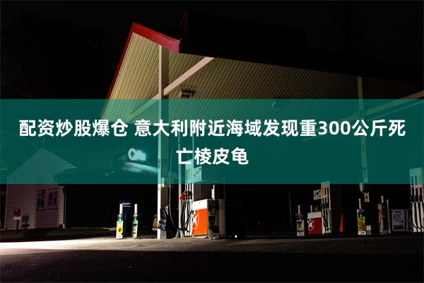 配资炒股爆仓 意大利附近海域发现重300公斤死亡棱皮龟